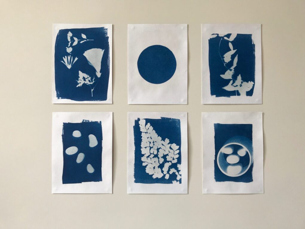 Zonneprints exposeren serie cyanotypie
